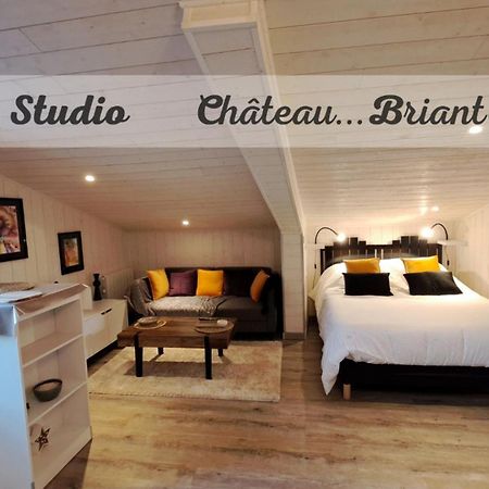 Studio-Centre Ville Châteaubriant Exteriör bild