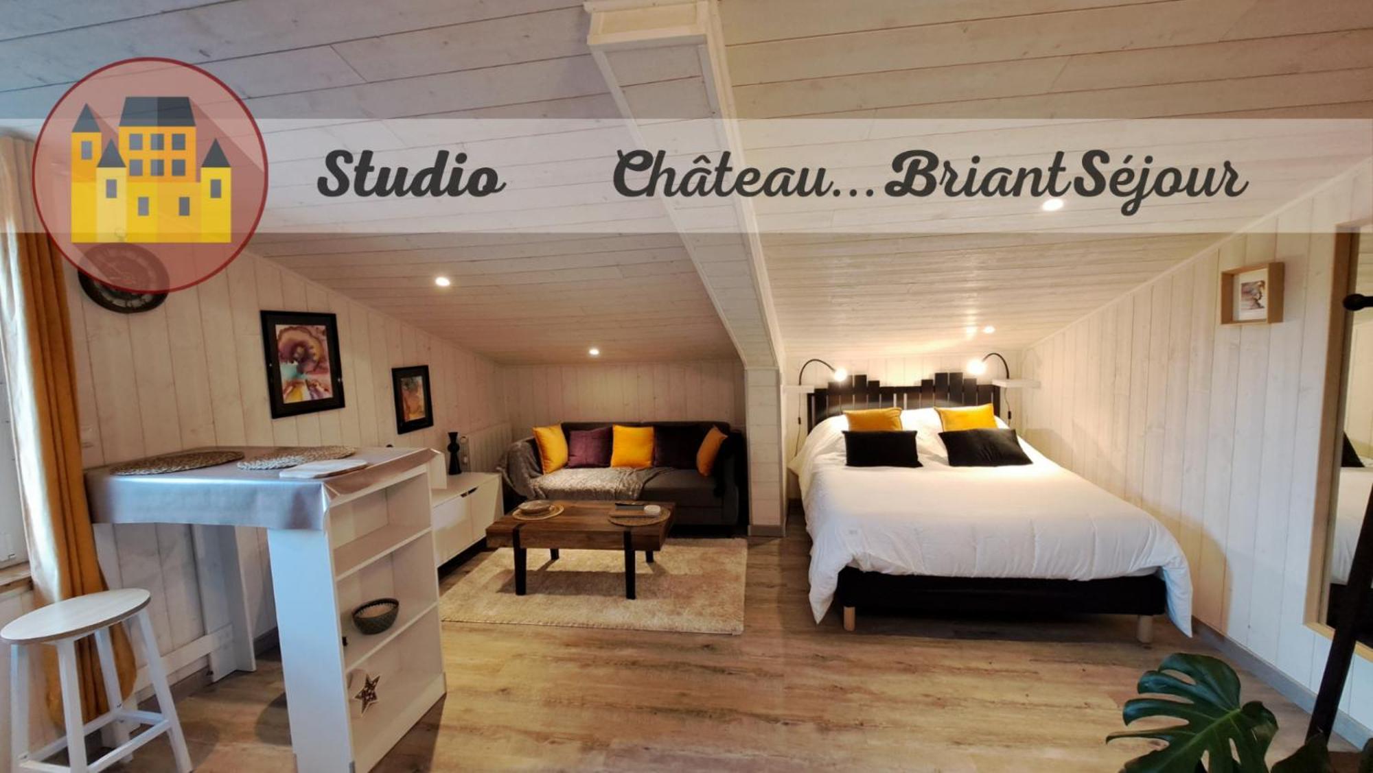 Studio-Centre Ville Châteaubriant Exteriör bild