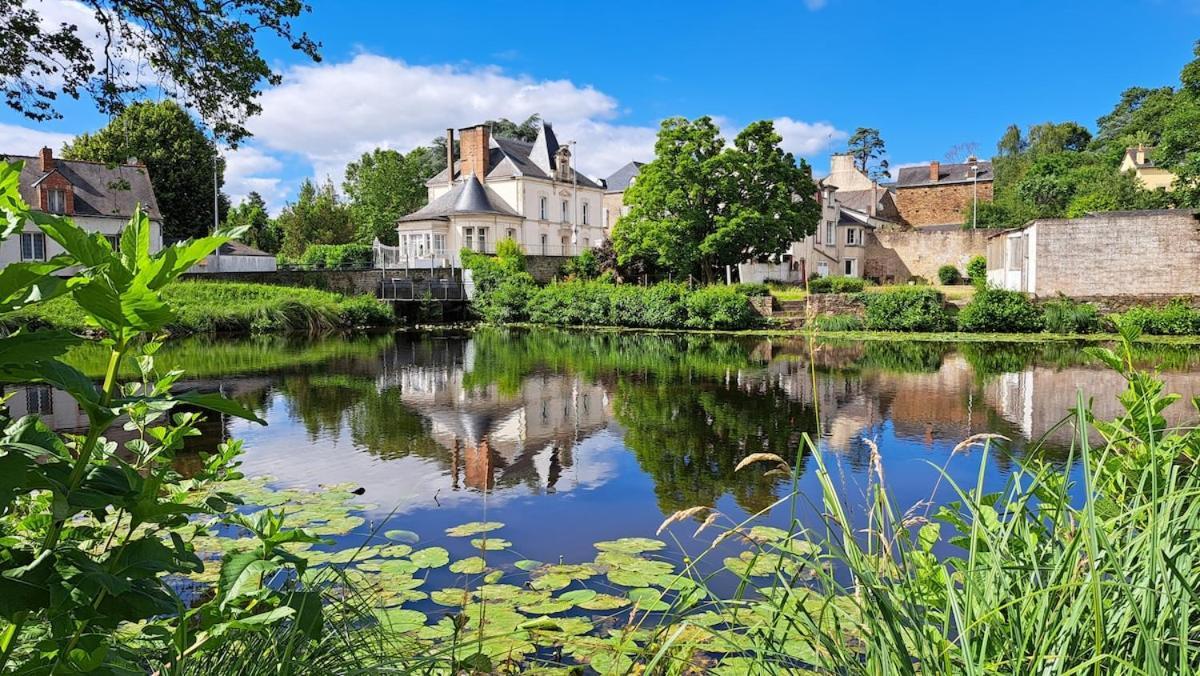 Studio-Centre Ville Châteaubriant Rum bild